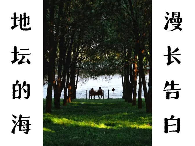 我在“地坛的海”前,拍到一场漫长的告白