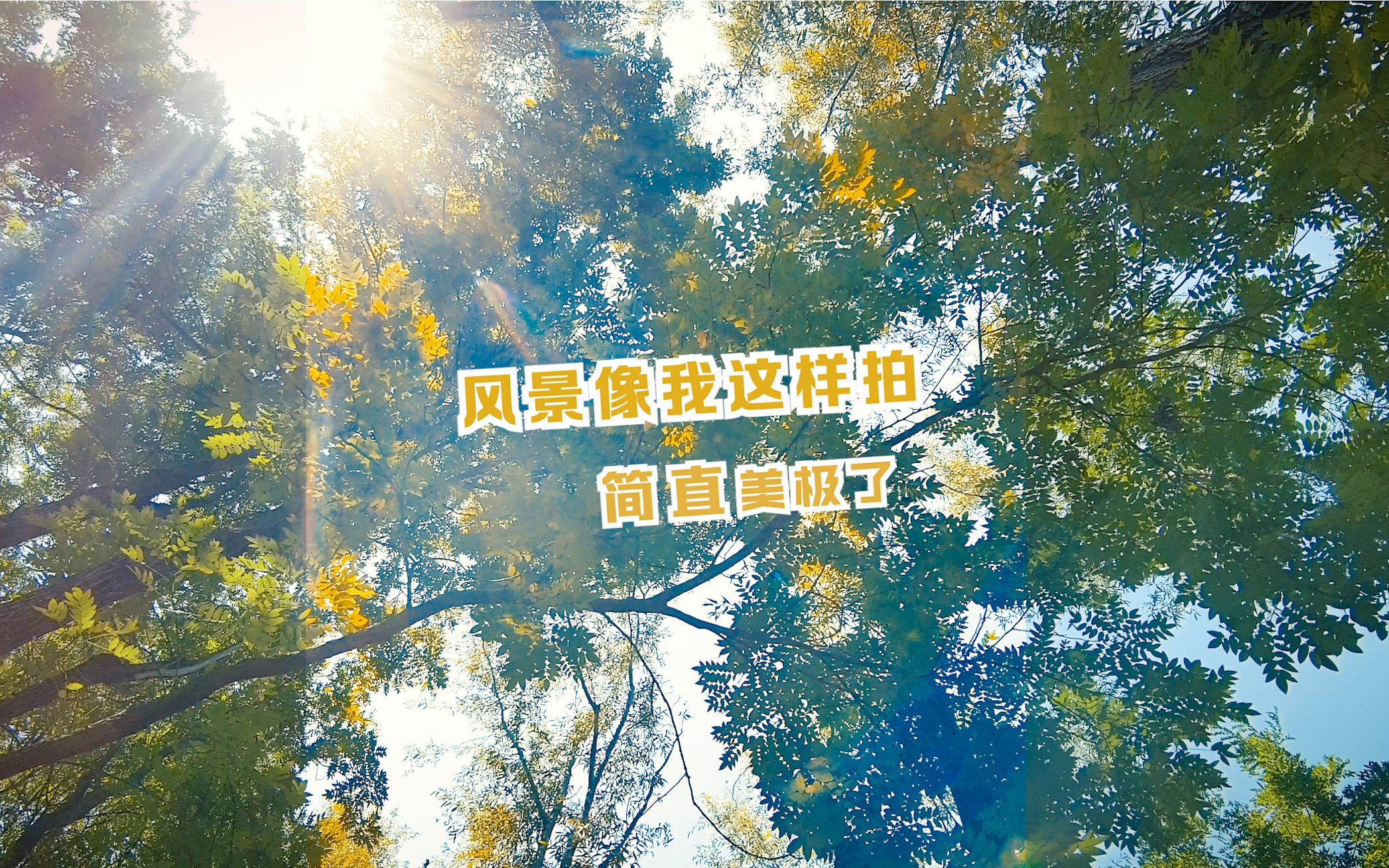 【运镜手法】拍摄风景的唯美镜头,你值得拥有!哔哩哔哩bilibili