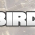 【Bighole视频搬运组出品】Carbon6-Bird-5招教你提高枪火游侠水平