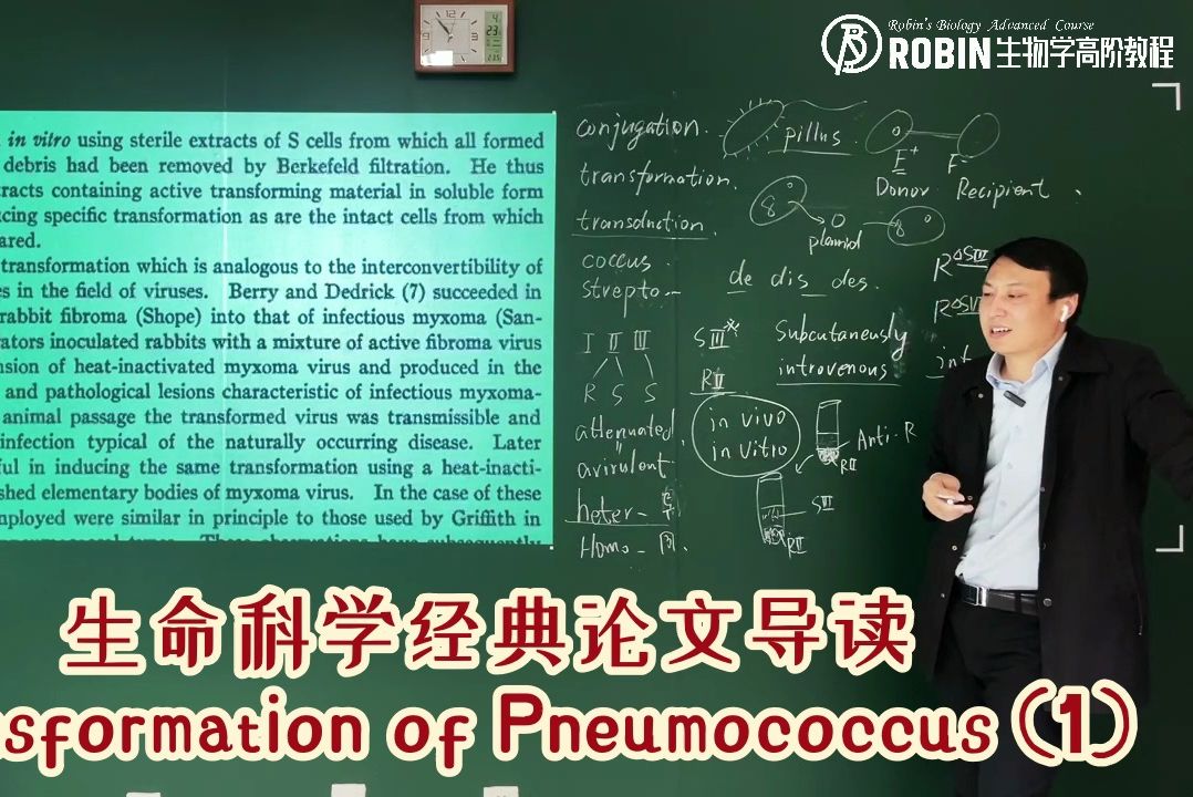 生命科学经典论文导读系列:肺炎双球菌的转化实验哔哩哔哩bilibili