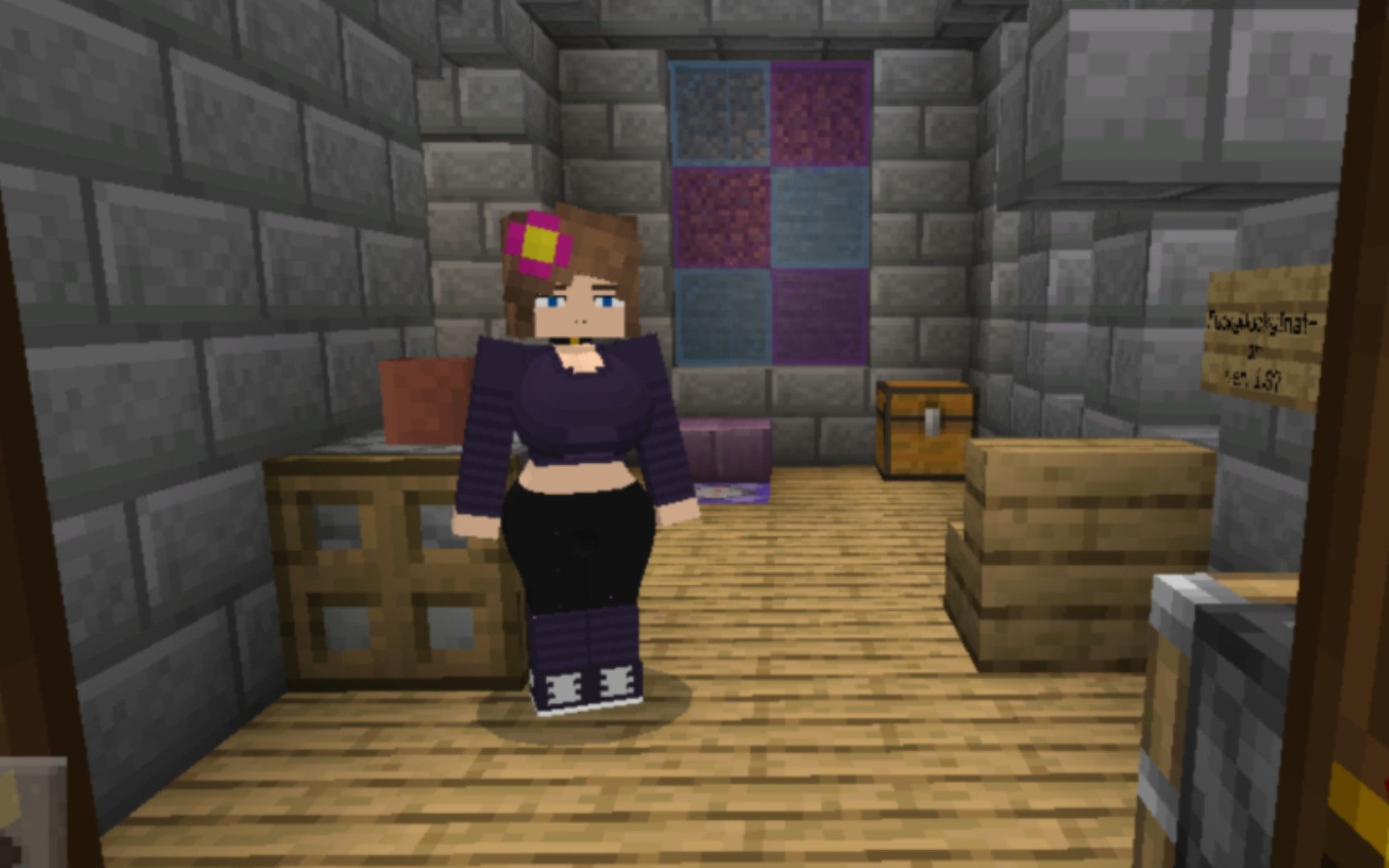 【minecraft】珍妮导入