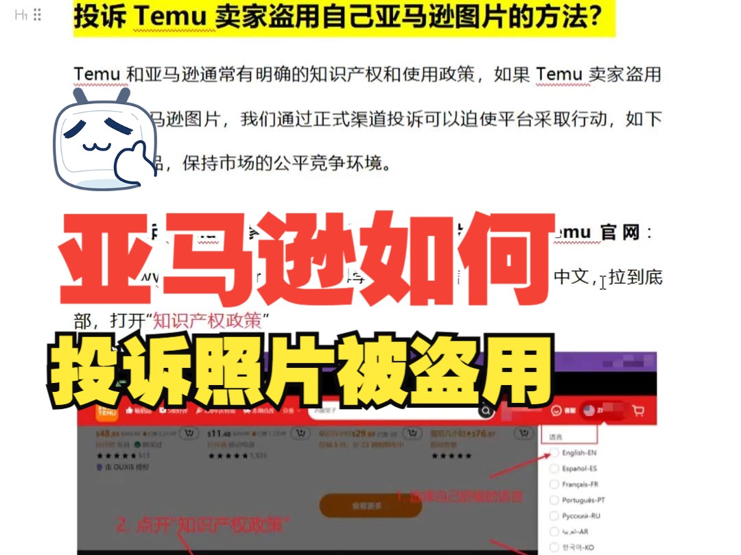 投诉Temu卖家盗用自己亚马逊图片的方法?哔哩哔哩bilibili