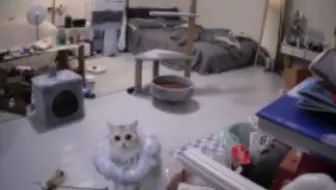 【丢丢】这几步走的好娇啊 “丢丢 想妈妈吗”还对话了 聪明丢宝