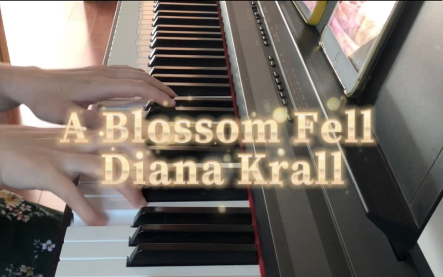 爵士情歌〗diana krall:a blossom fell