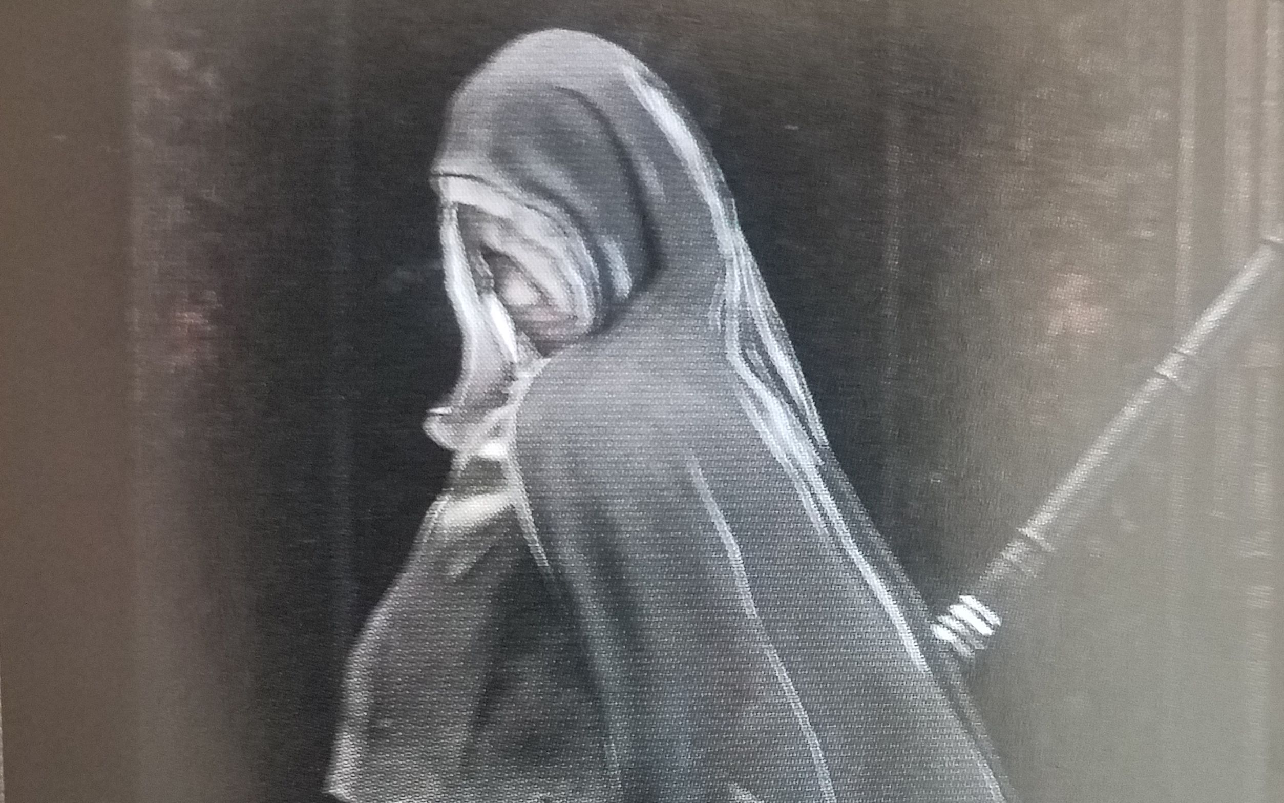 黑魂三芙莉德修女图片