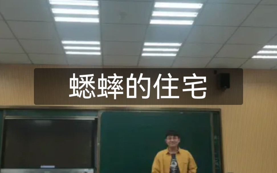 蟋蟀的住宅哔哩哔哩bilibili