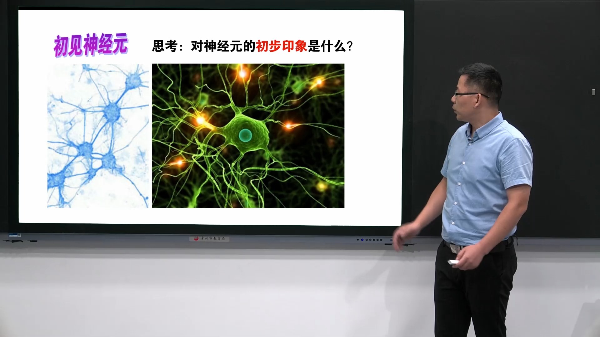 [图]4.12.2 人体的神经调节（第一课时）