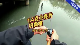 Télécharger la video: 不空军的小亮片！很神奇！