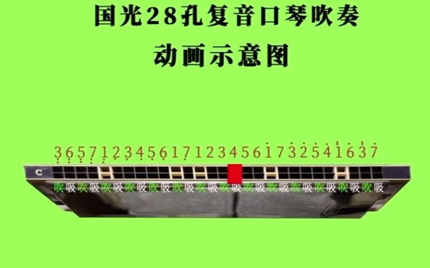 28孔复音口琴演奏教学动画哔哩哔哩bilibili