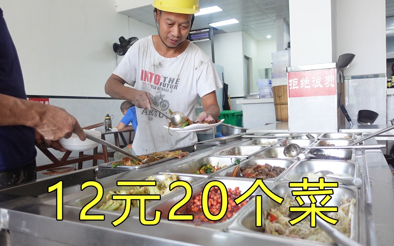 [图]12元20个菜的快餐便宜，肉菜占了大半，老板说不吃饱不准走