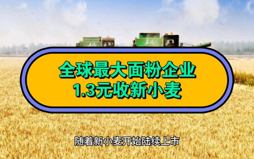 今年新麦收购价格来了,全球最大面粉企业1.3元收购,对比国家托市收购和中储粮轮换价格如何?哔哩哔哩bilibili