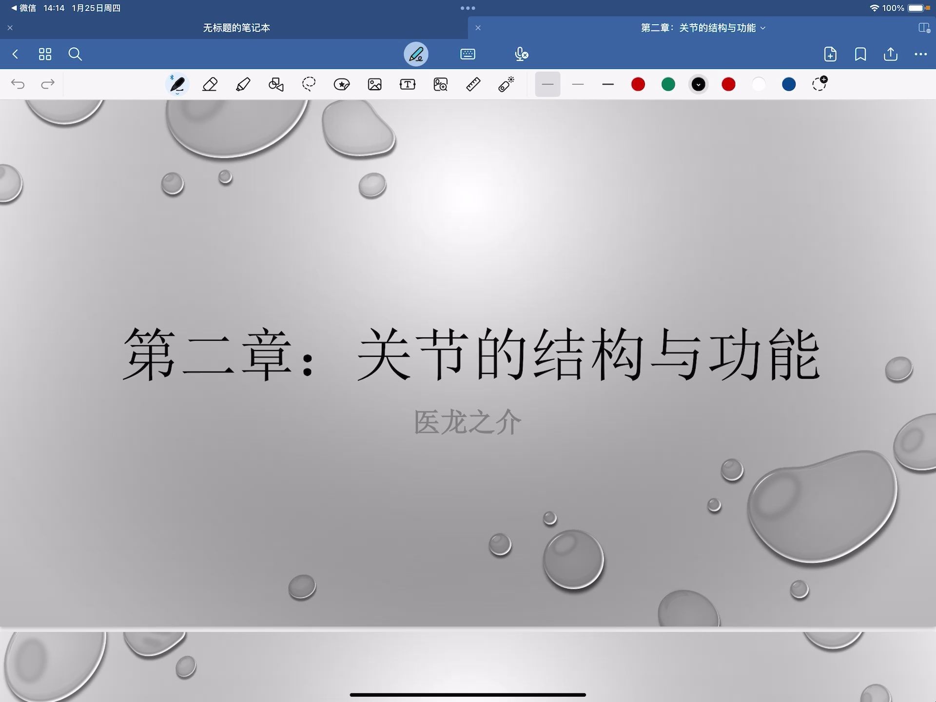 肌动学第二章:关节的结构与功能哔哩哔哩bilibili