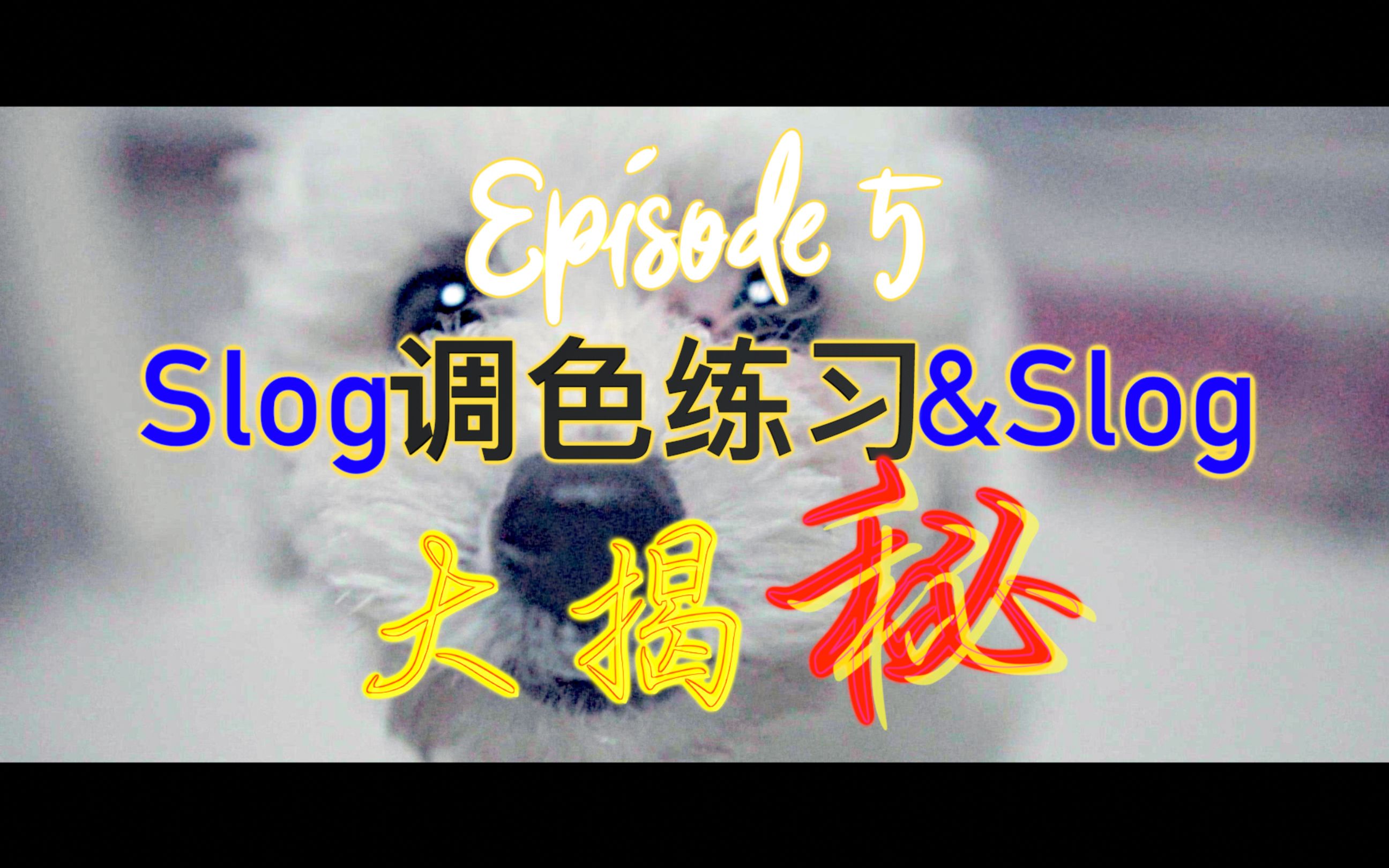 (附sony官方slog2/3lut链接)