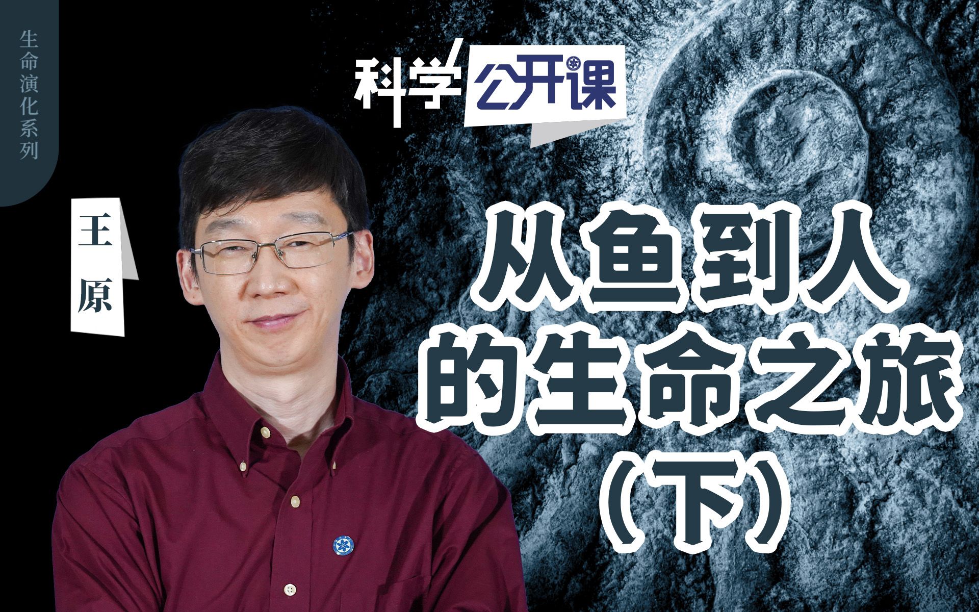 【科学公开课】王原:从鱼到人的生命之旅(下)哔哩哔哩bilibili