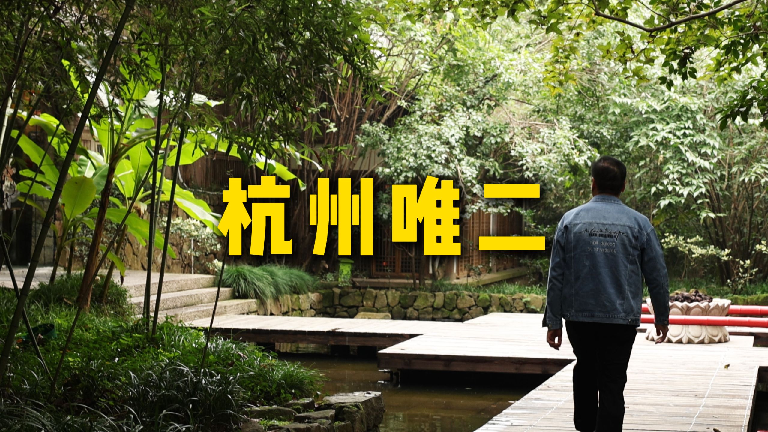 特厨隋坡|米其林二星的西湖醋鱼是啥味道？！