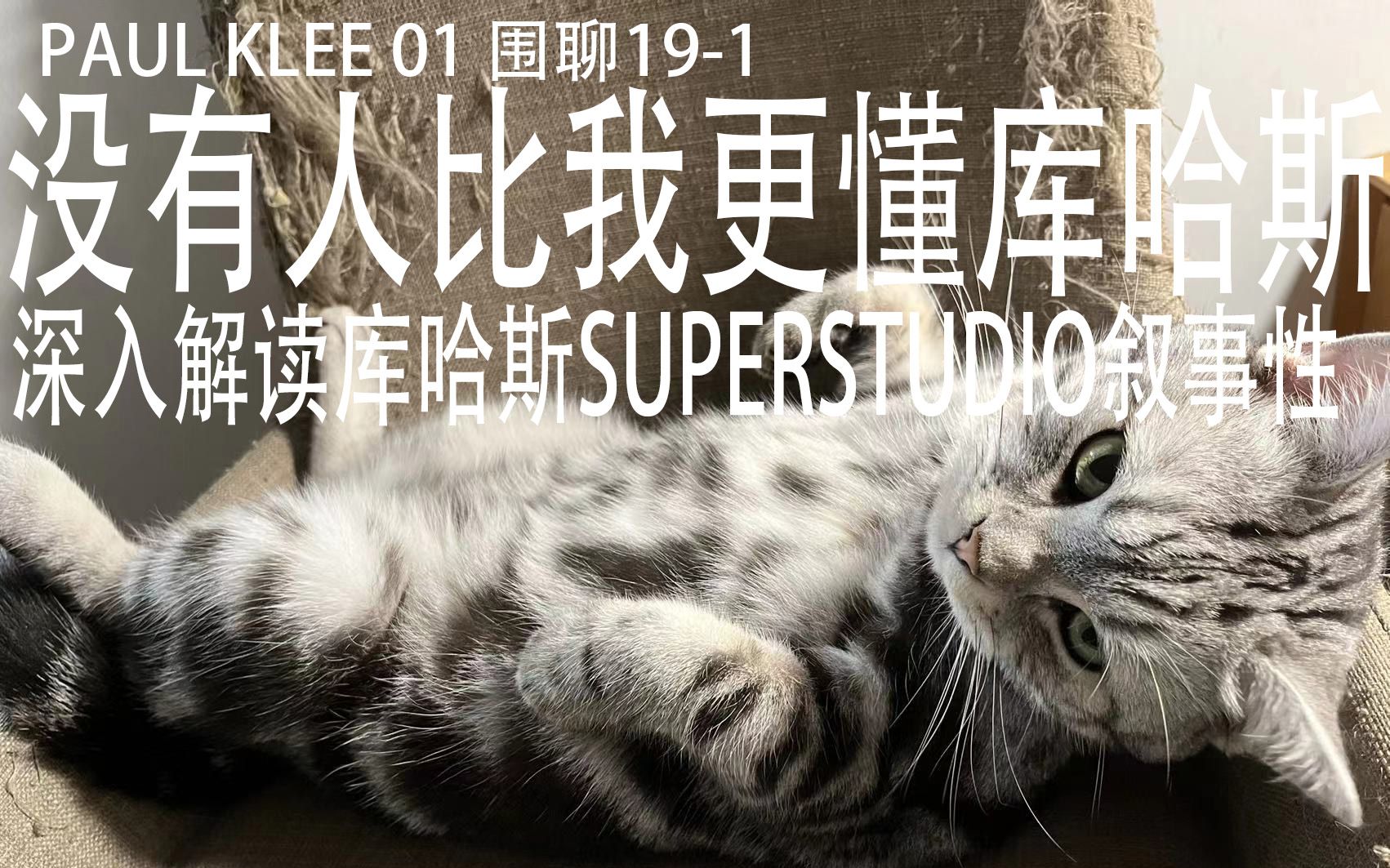 围聊19-1 没有人比我更懂库哈斯&superstudio 新长篇paulklee开启