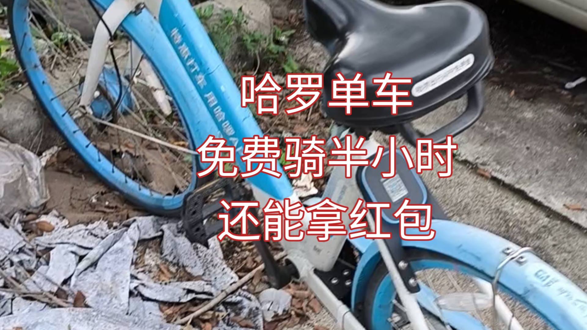 哈罗单车找车兼职一辆车多少钱找兼职须知 哈罗单车找车兼职一辆车多少钱找兼职须知