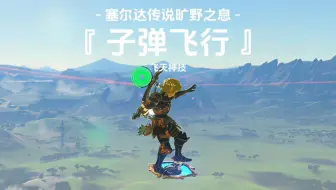 塞尔达飞天神技子弹飞行【塞尔达传说旷野之息】