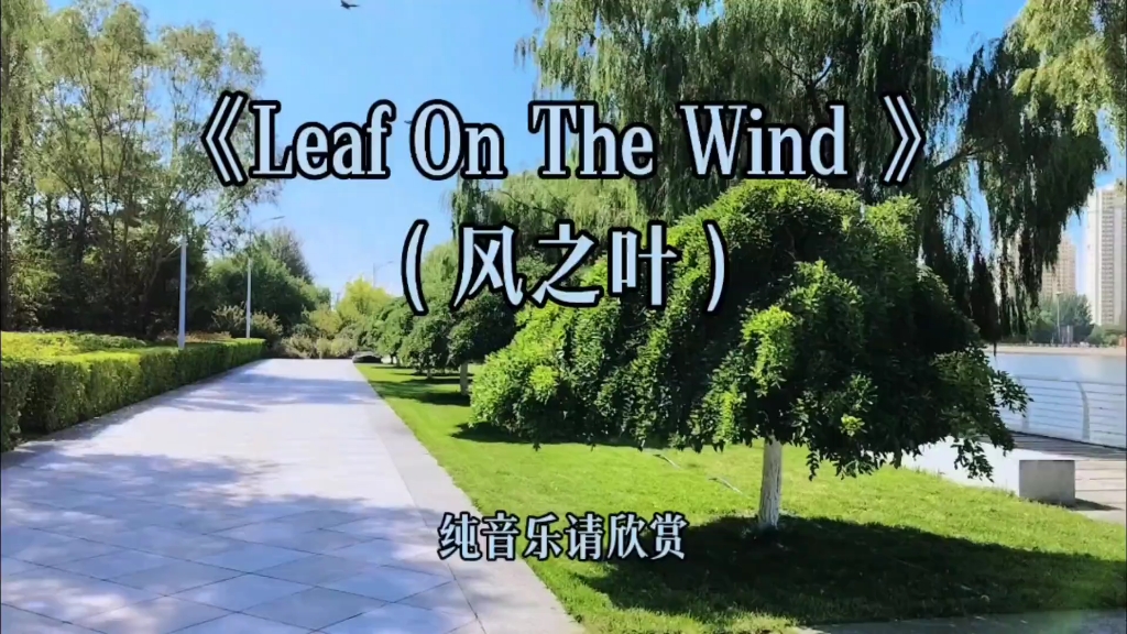 [图]朦胧迷幻的新世纪音乐《Leaf On The Wind 》唤醒内心深处的记忆