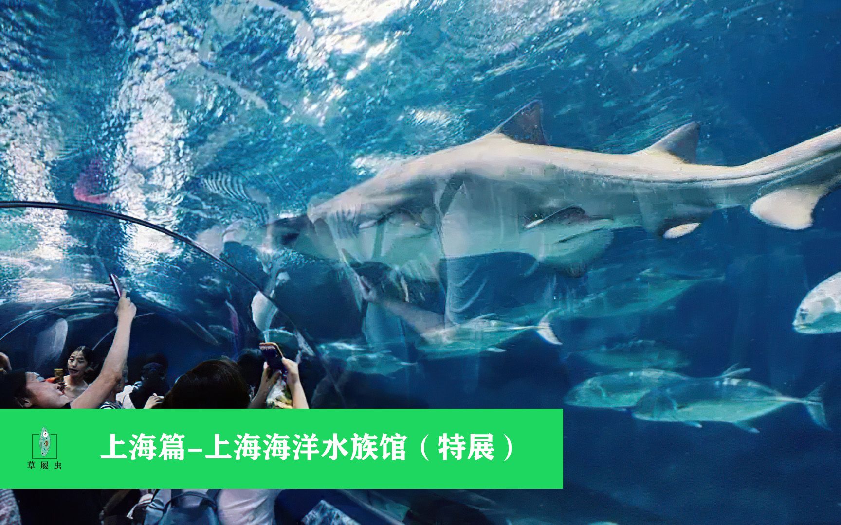 [图]上海篇-上海海洋水族馆（特展）