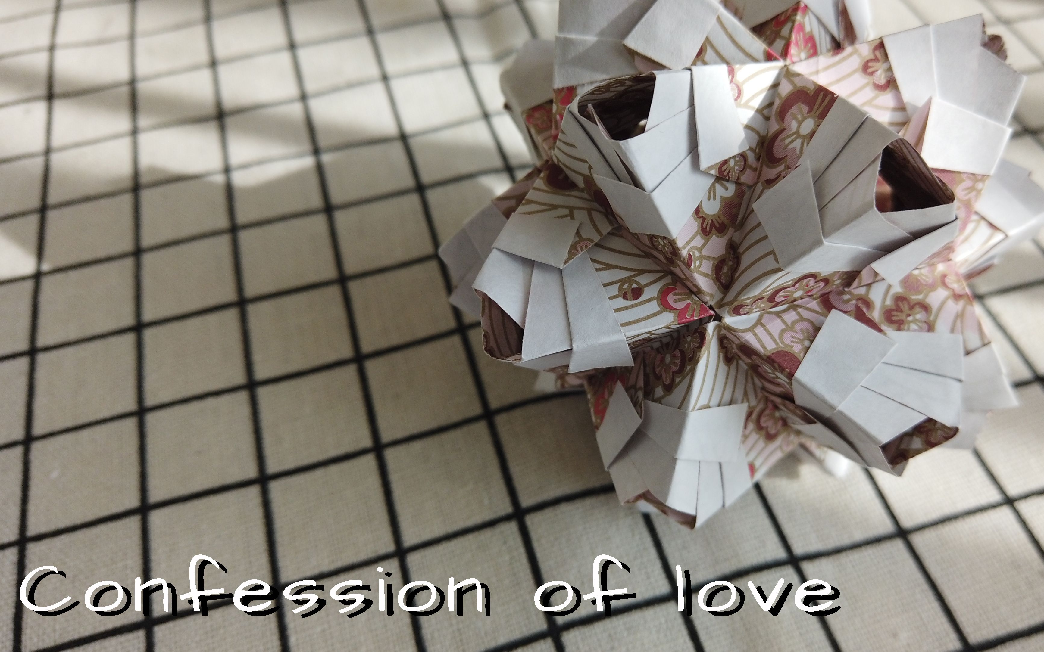 [图]confession of love—玫瑰的告白