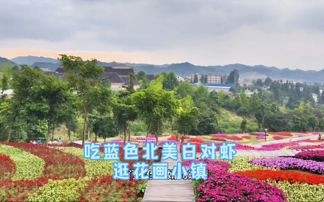 周末推荐在贵阳吃"蓝色"北美活虾,逛羊昌花画小镇