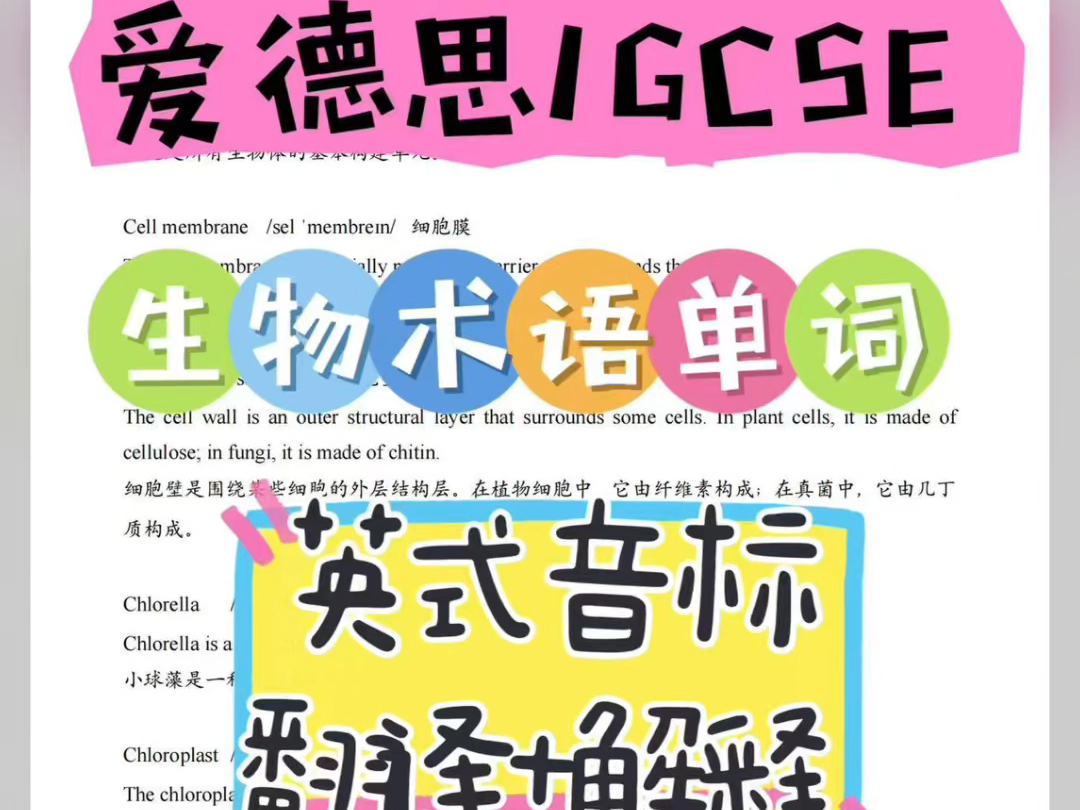 记完这些专业术语IGCSE生物就学会了一半哔哩哔哩bilibili