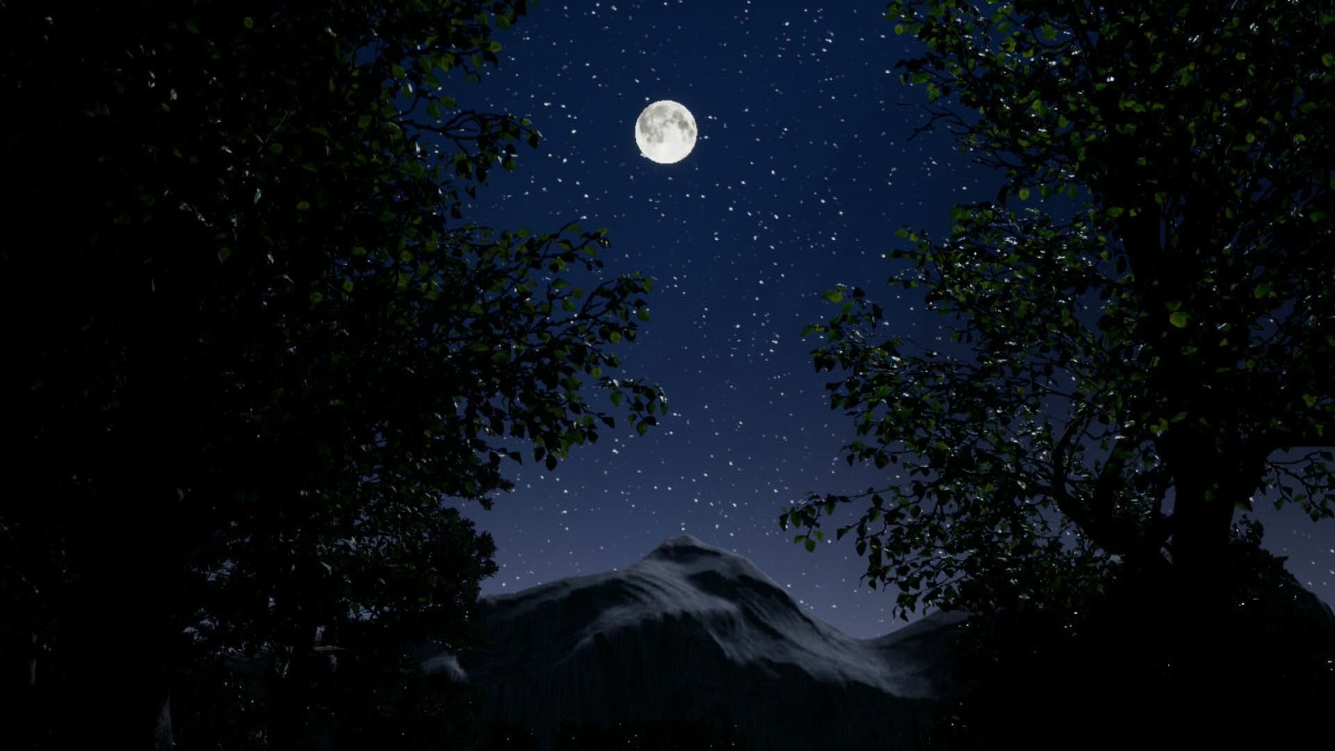 虚幻4引擎制作的小树林星空版