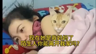 Video herunterladen: 养猫前：你要是把猫带回家，我就把它炖了！养猫后：我的宝宝，我的好宝宝!