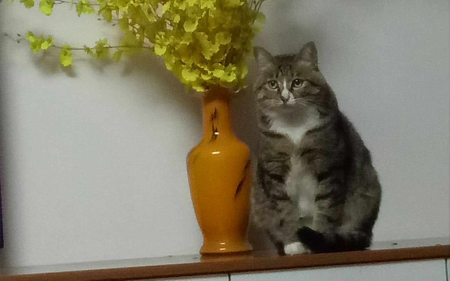 【王冻的日常】几组生活片段_哔哩哔哩_bilibili