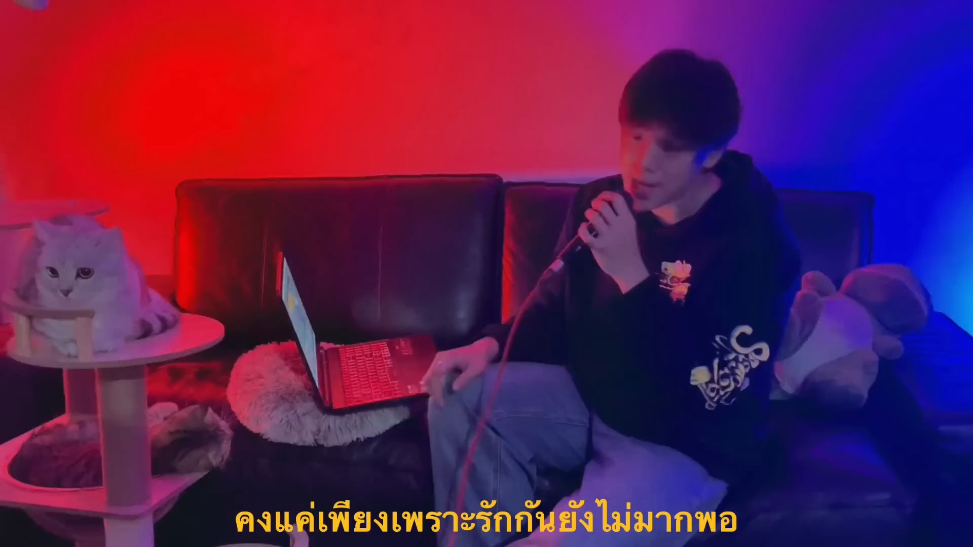 [图]รักแท้ | 真爱 cover by DAOU