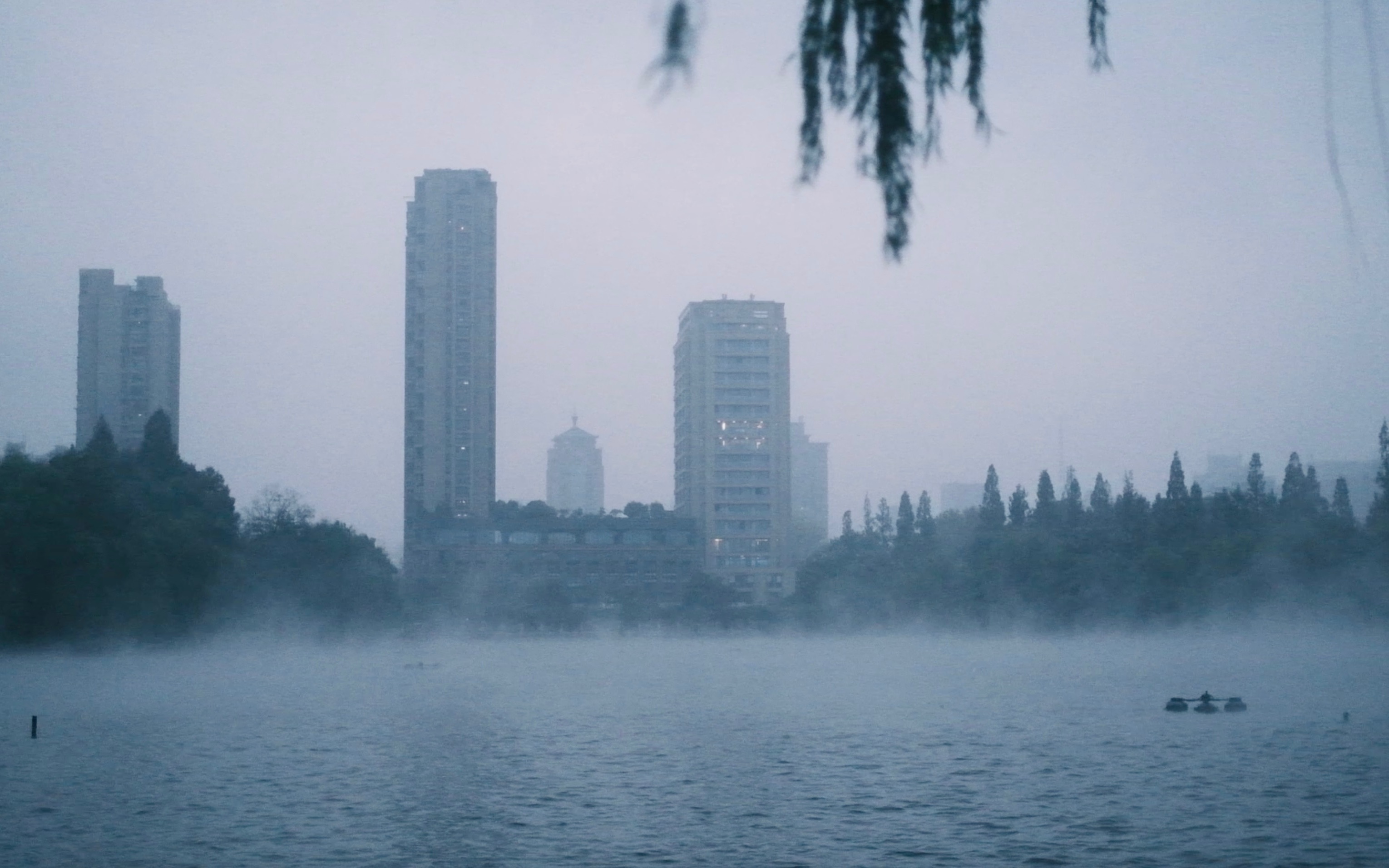 2022杭州初雪,仙境般的华家池.哔哩哔哩bilibili