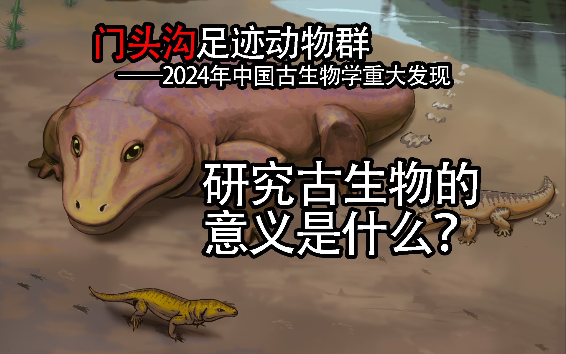 徐星院士:研究古生物的意义是什么?哔哩哔哩bilibili