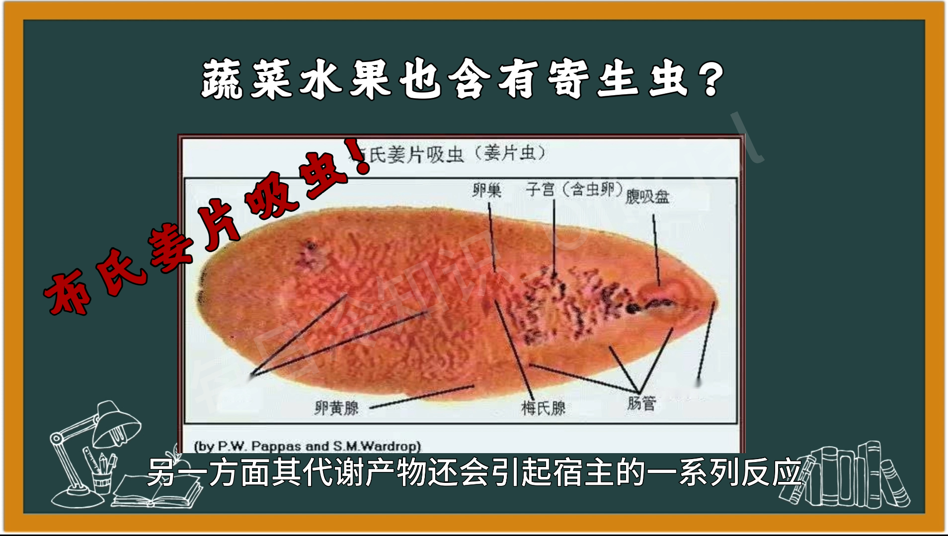 蔬菜水果也含有寄生虫?加热!