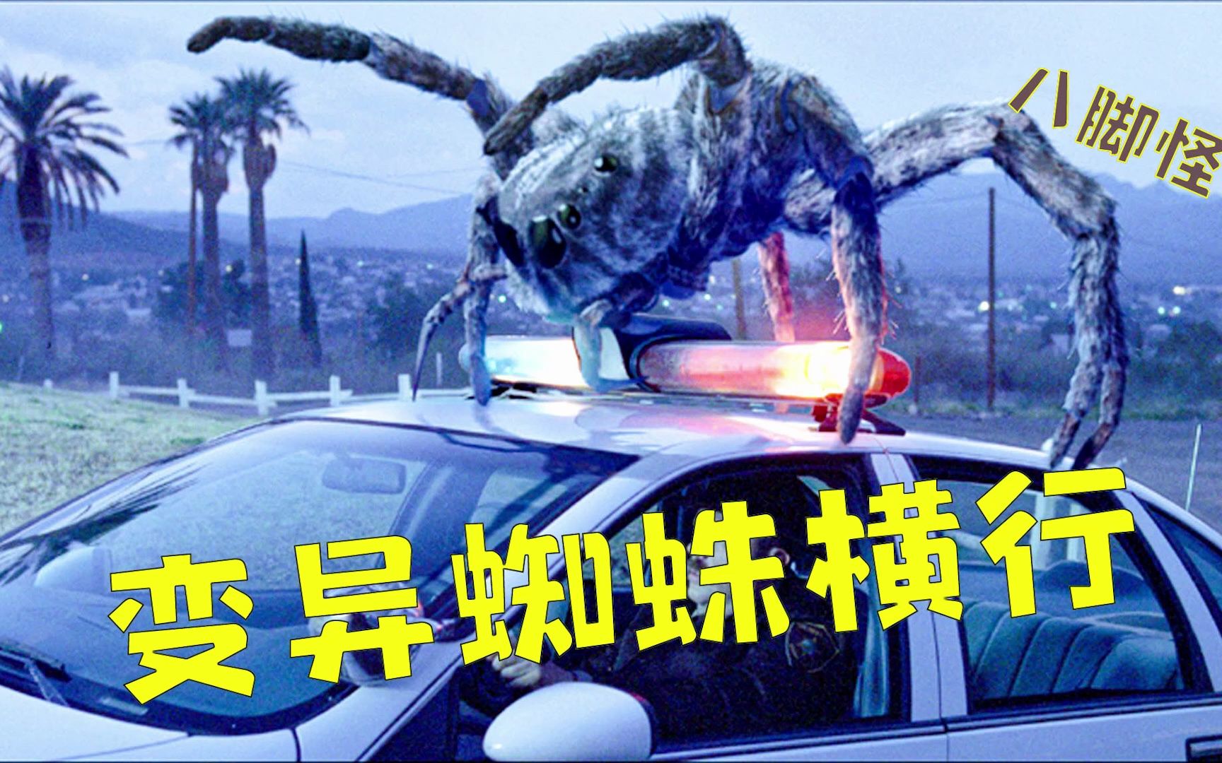 布满纹身的蜘蛛怪袭击人类《八脚怪》吃不完的裹成茧