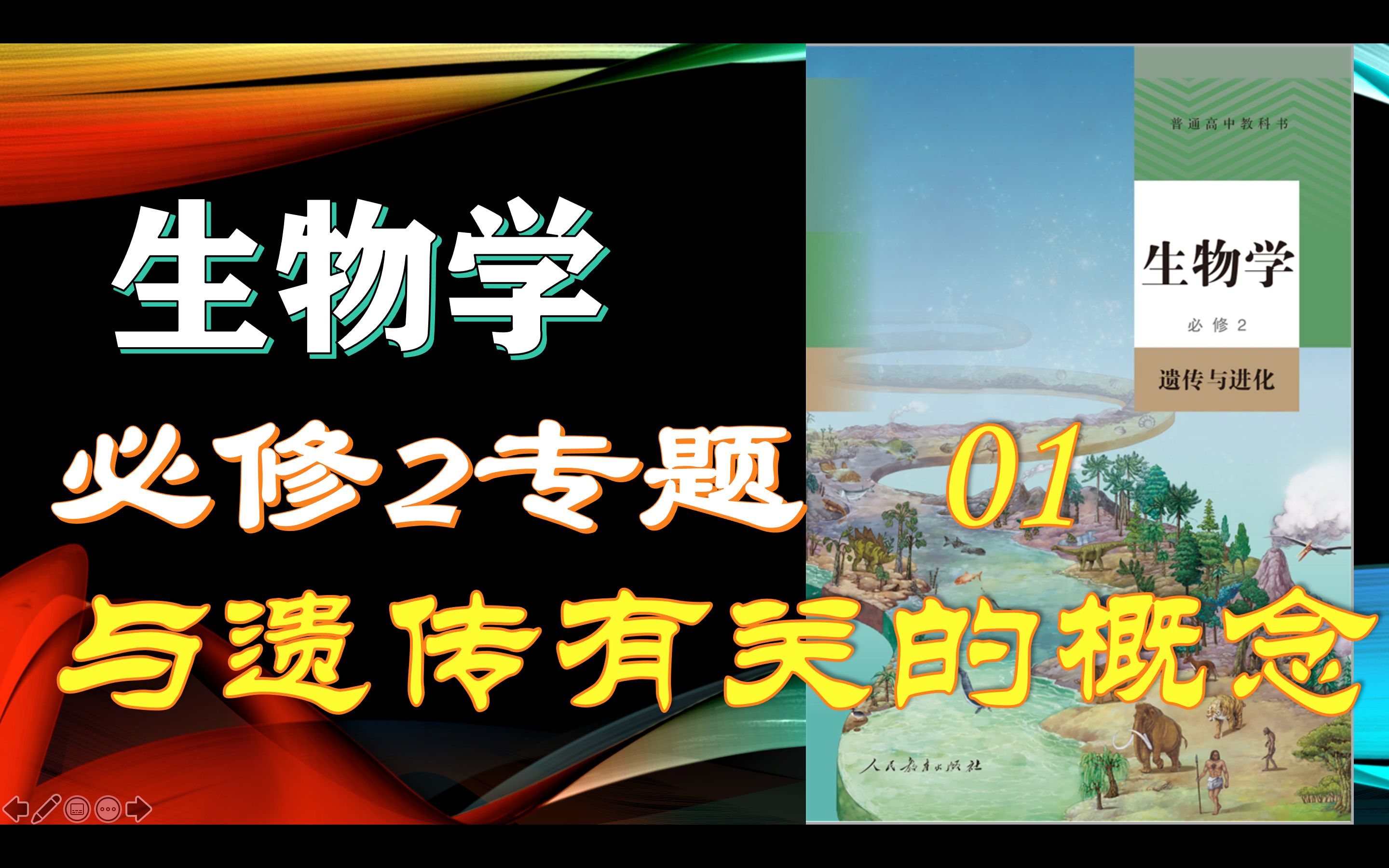 [图]【生物学必修2】01、3与遗传有关的概念 专题重难点复习 遗传与进化