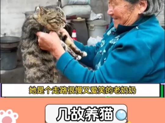 我家的小可爱:我和我的猫咪的故事哔哩哔哩bilibili