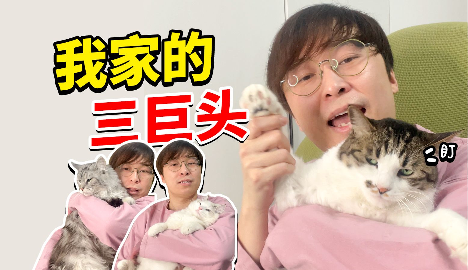 我家的猫哔哩哔哩bilibili