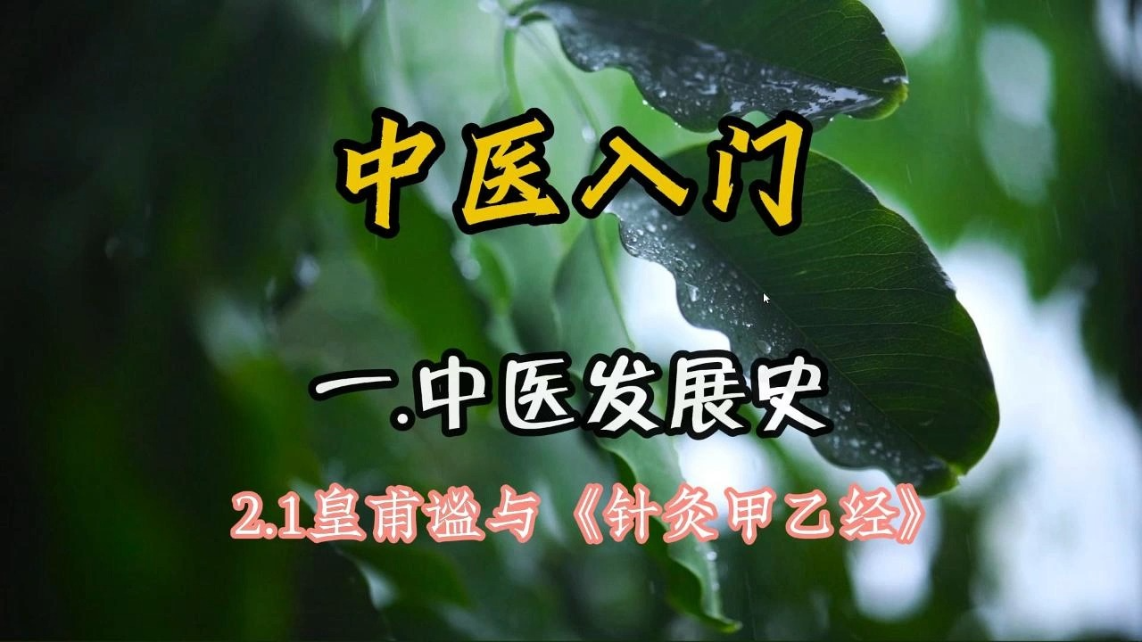 [图]中医入门 一.中医发展史 2.1皇甫谧与《针灸甲乙经》