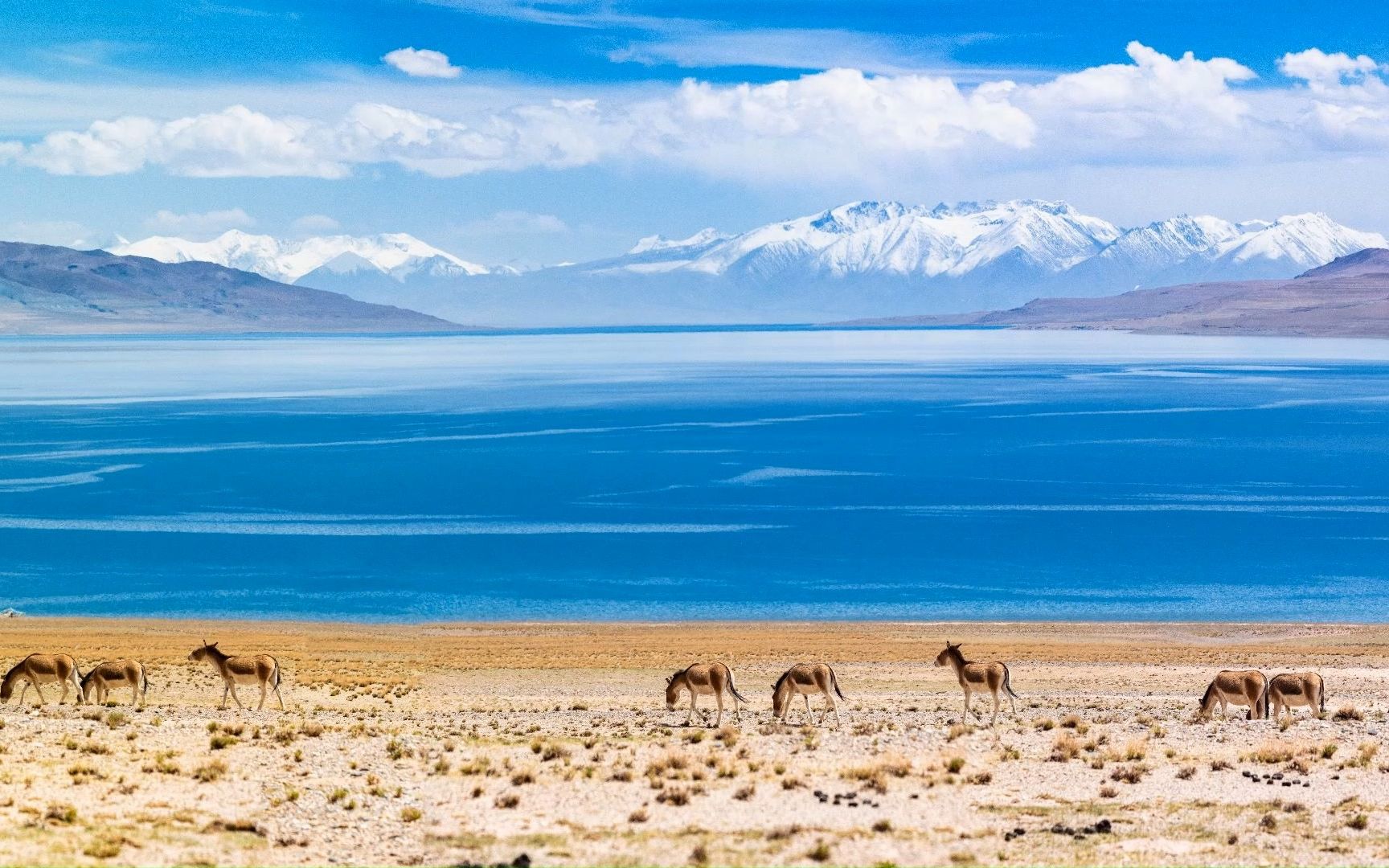 西藏阿里大北线-神山圣湖