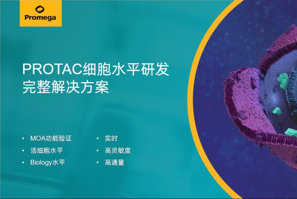 蛋白降解PROTAC细胞学水平完整解决方案