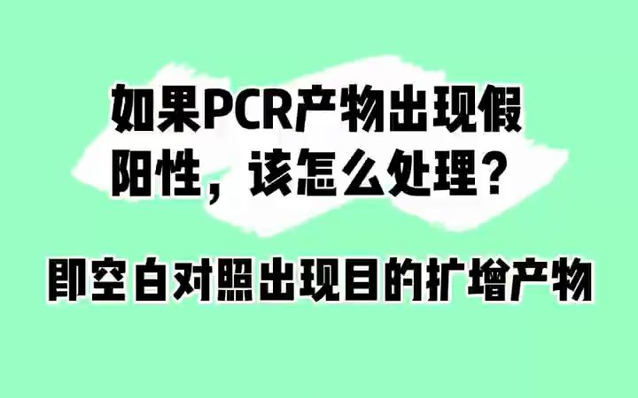 如果PCR产物出现假阳性(即空白对照出现目的扩增产物),该怎么处理?#PCR#科研实验哔哩哔哩bilibili