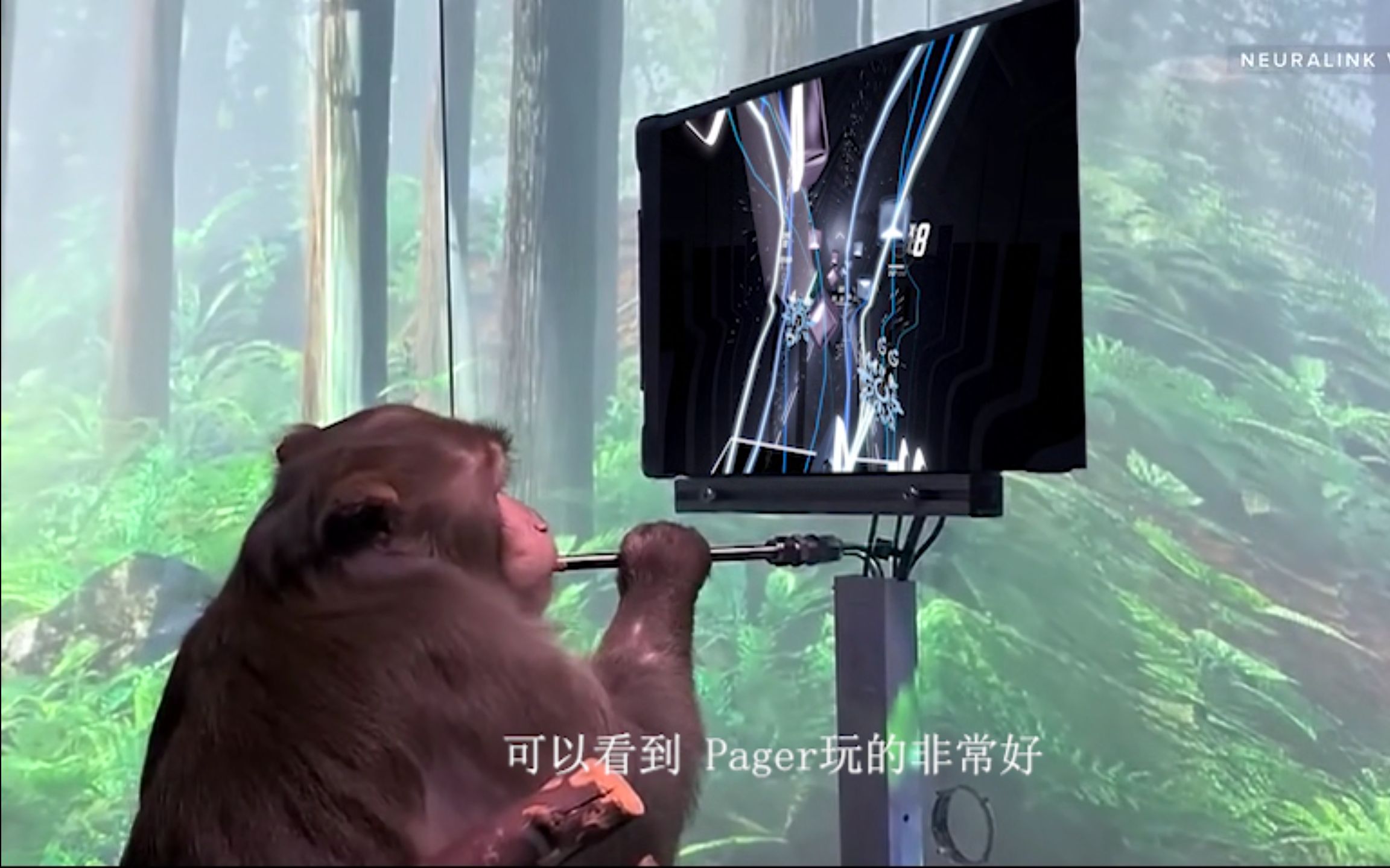 脑机接口实现重大突破!猴子用意念玩节奏光剑!