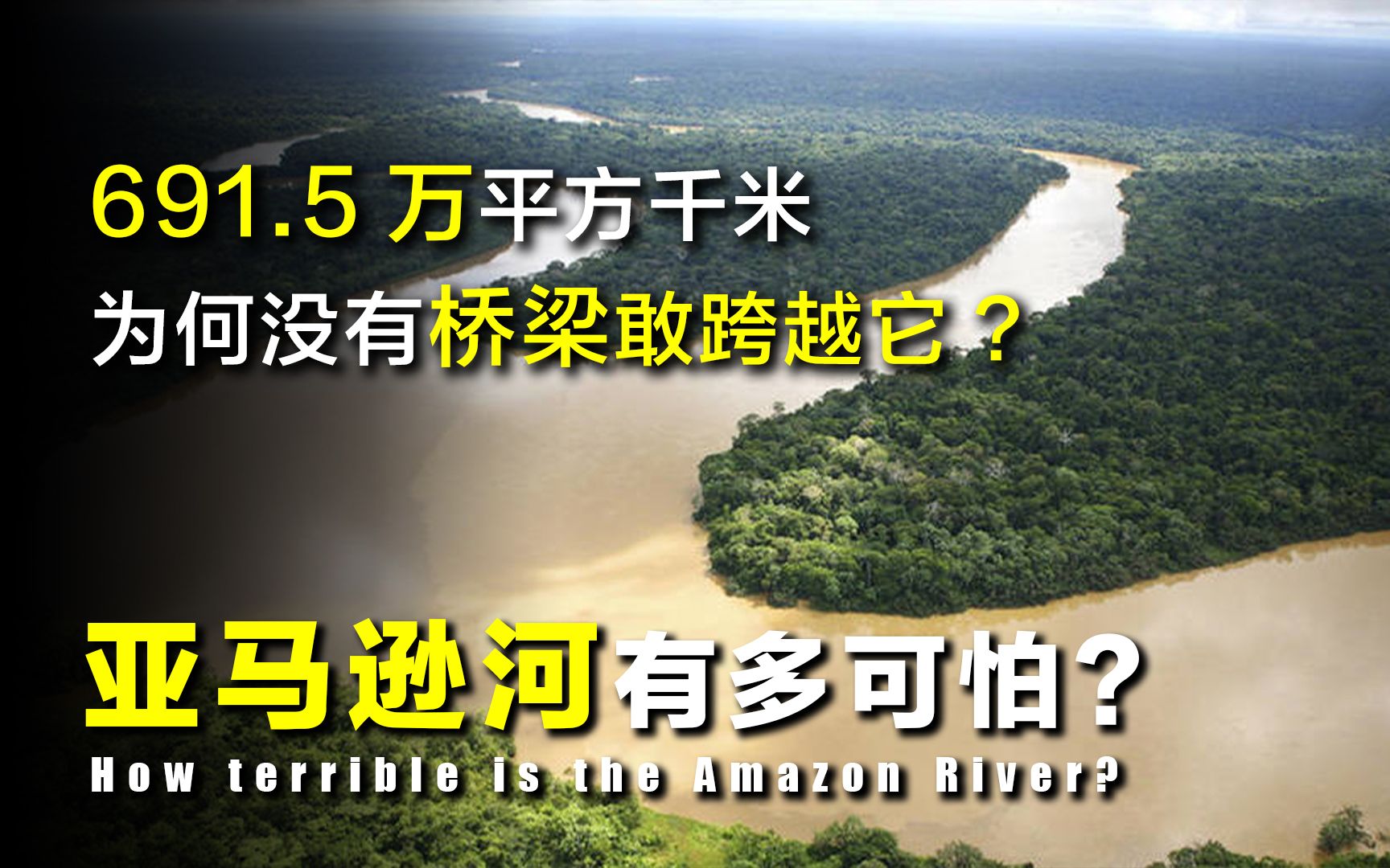 【探谜】亚马逊河多可怕?面积约691万平方千米,为何没一座桥敢跨越它?哔哩哔哩bilibili