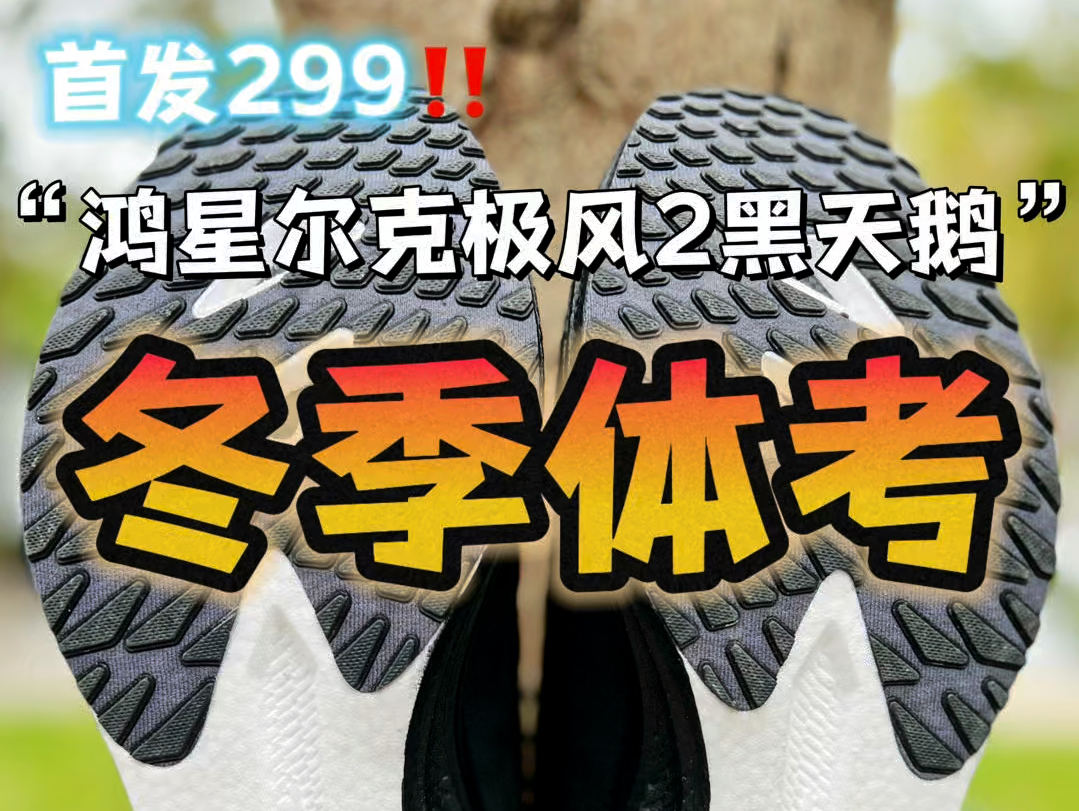 鸿星尔克极风2冬季版黑天鹅!首发才299?哔哩哔哩bilibili