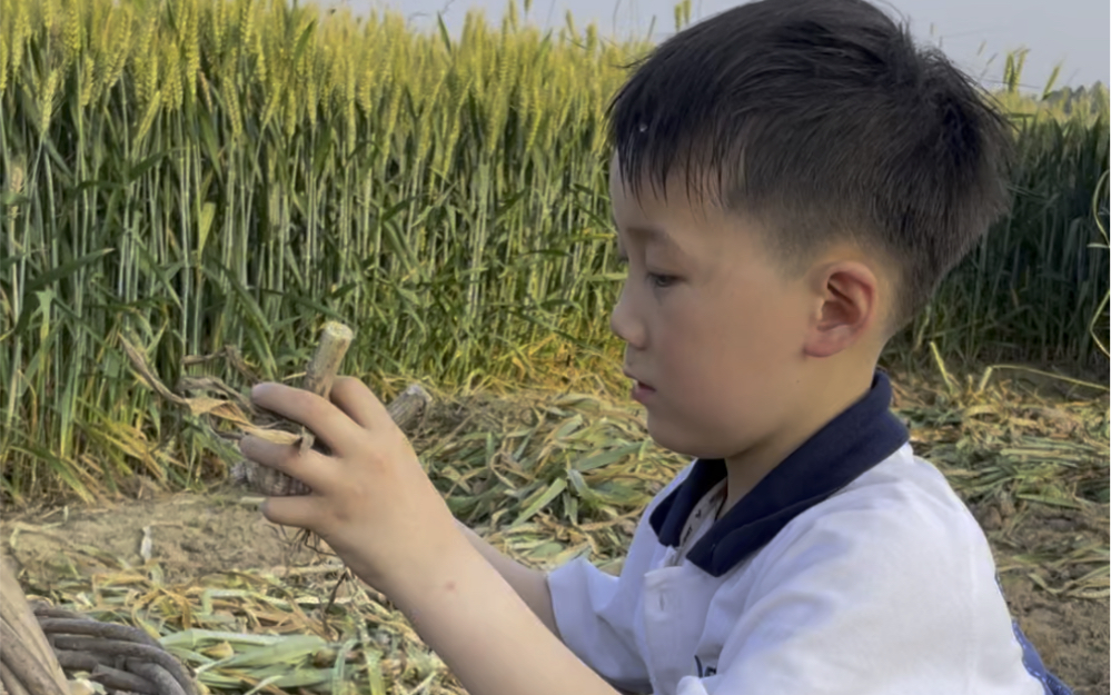 帅帅的小男孩,干活最伟大!农村小孩的生活记录