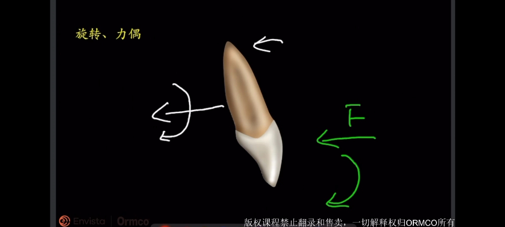 生物力学哔哩哔哩bilibili