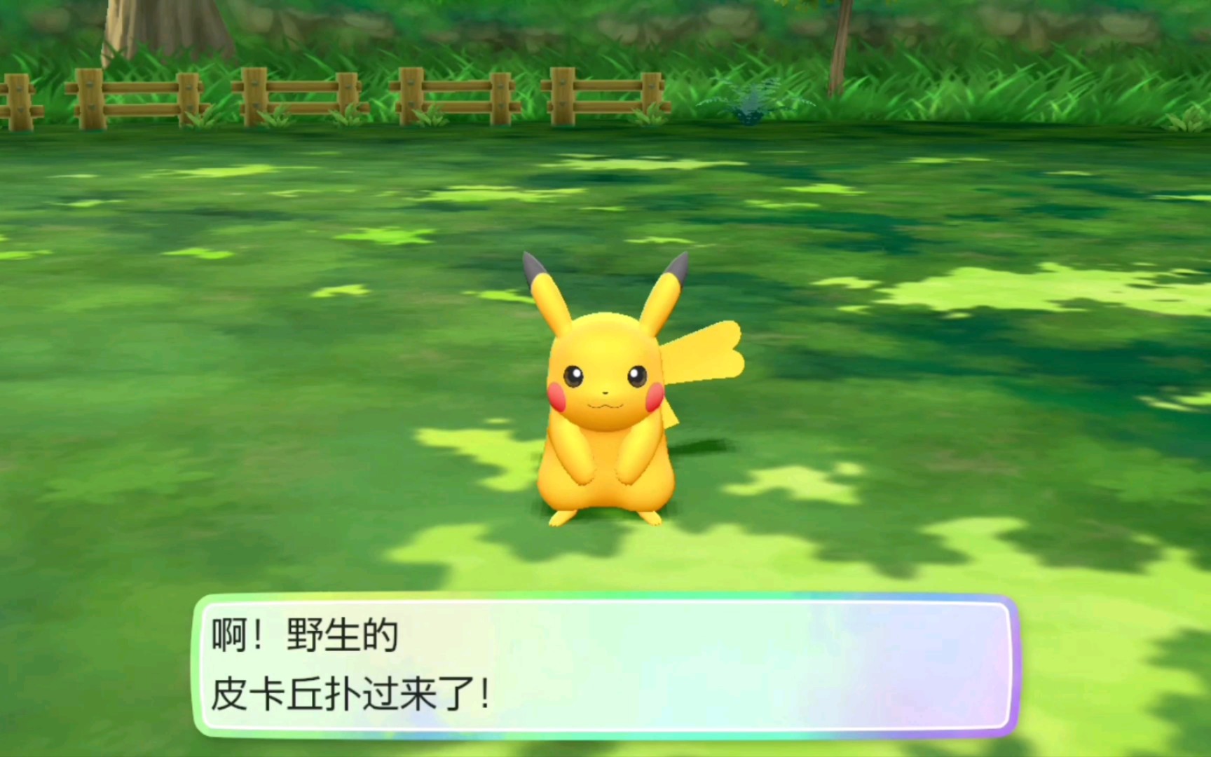 【lgpe】第一大将,常磐森林闪光皮卡丘♀第143只gotcha!