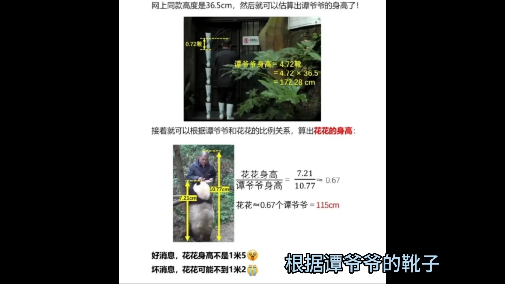 瞒不住了,顶流女明星的身高最终被网友算出,女明星下一步该如何长?哔哩哔哩bilibili