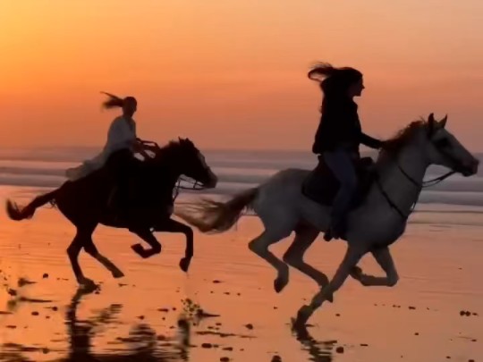 美女骑马:春日夕阳骑马唯美视频素材,夕阳下的背影